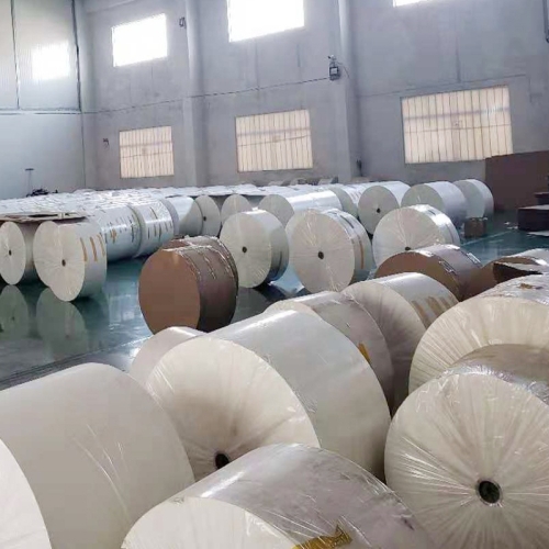 Baking Paper  30cm Jumbo Roll Food Grade Paper Raw Material